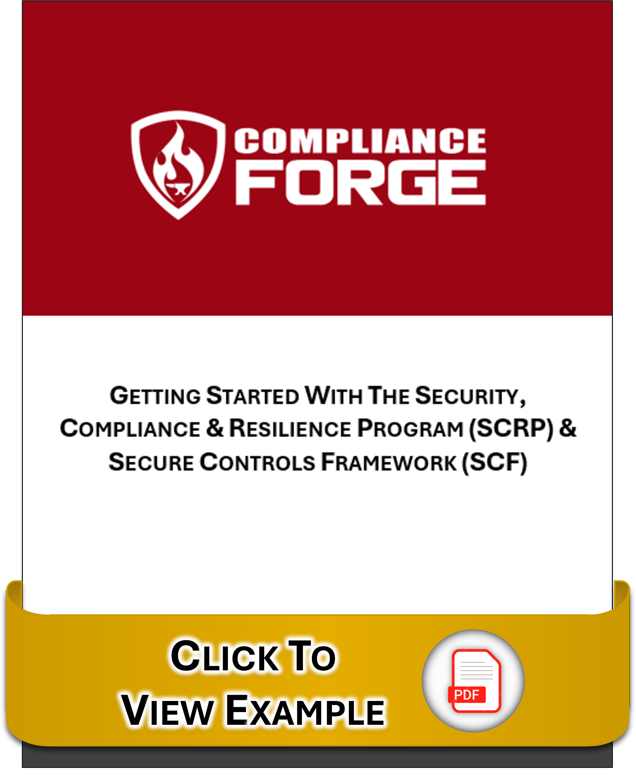 ComplianceForge - how to use the DSP